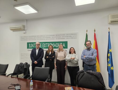 Novedades en la tramitación de boletines de baja tensión